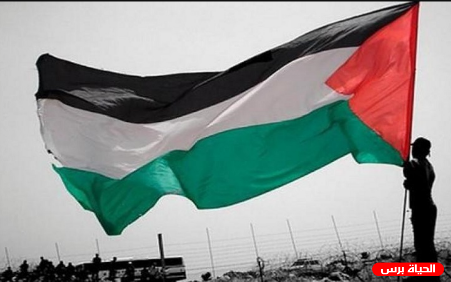 مسيرة مركبات في أم الفحم تنديدا بعدوان الاحتلال على نابلس